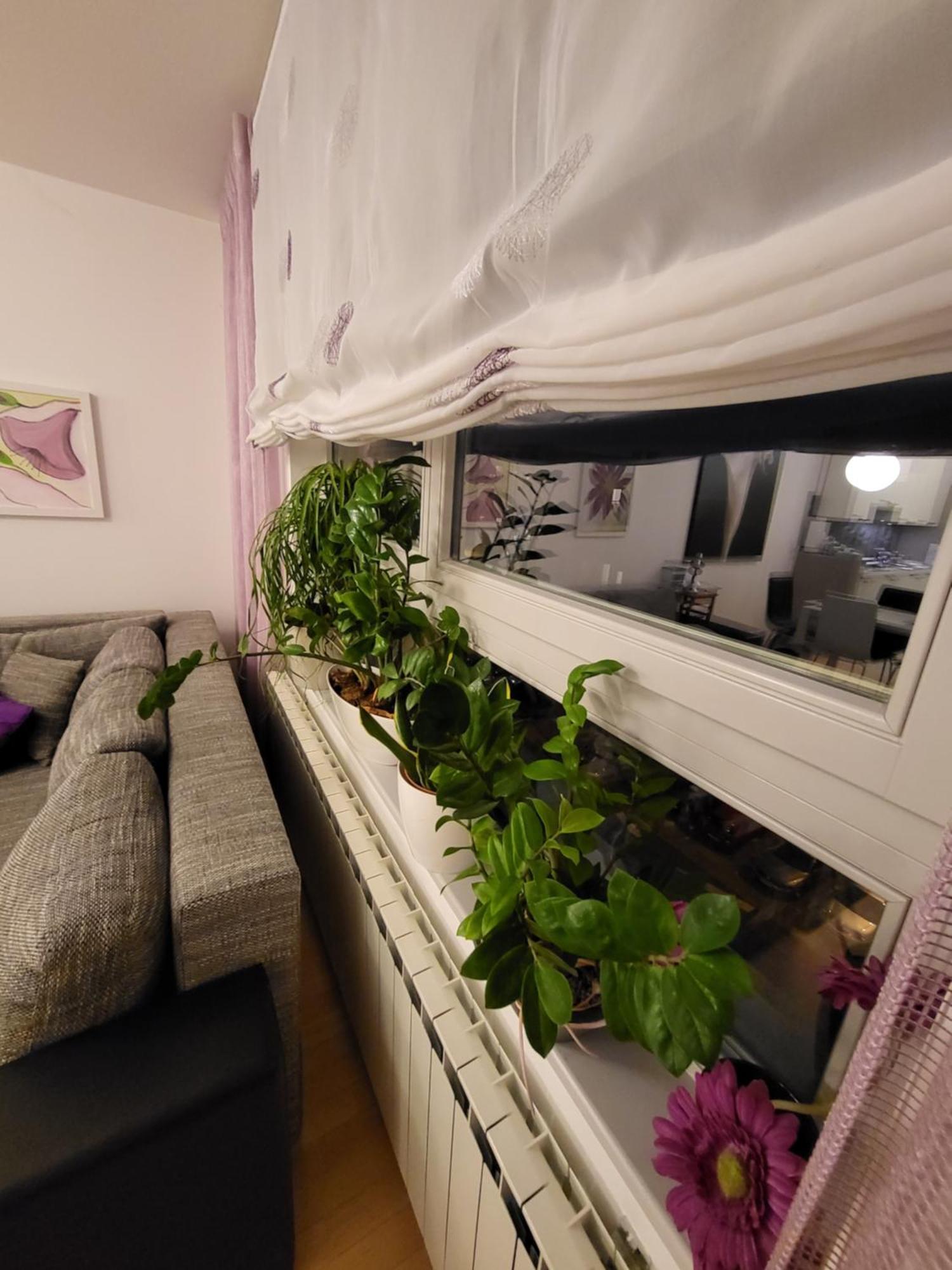 Apartman Jarun Lake Lux Zagrzeb Zewnętrze zdjęcie