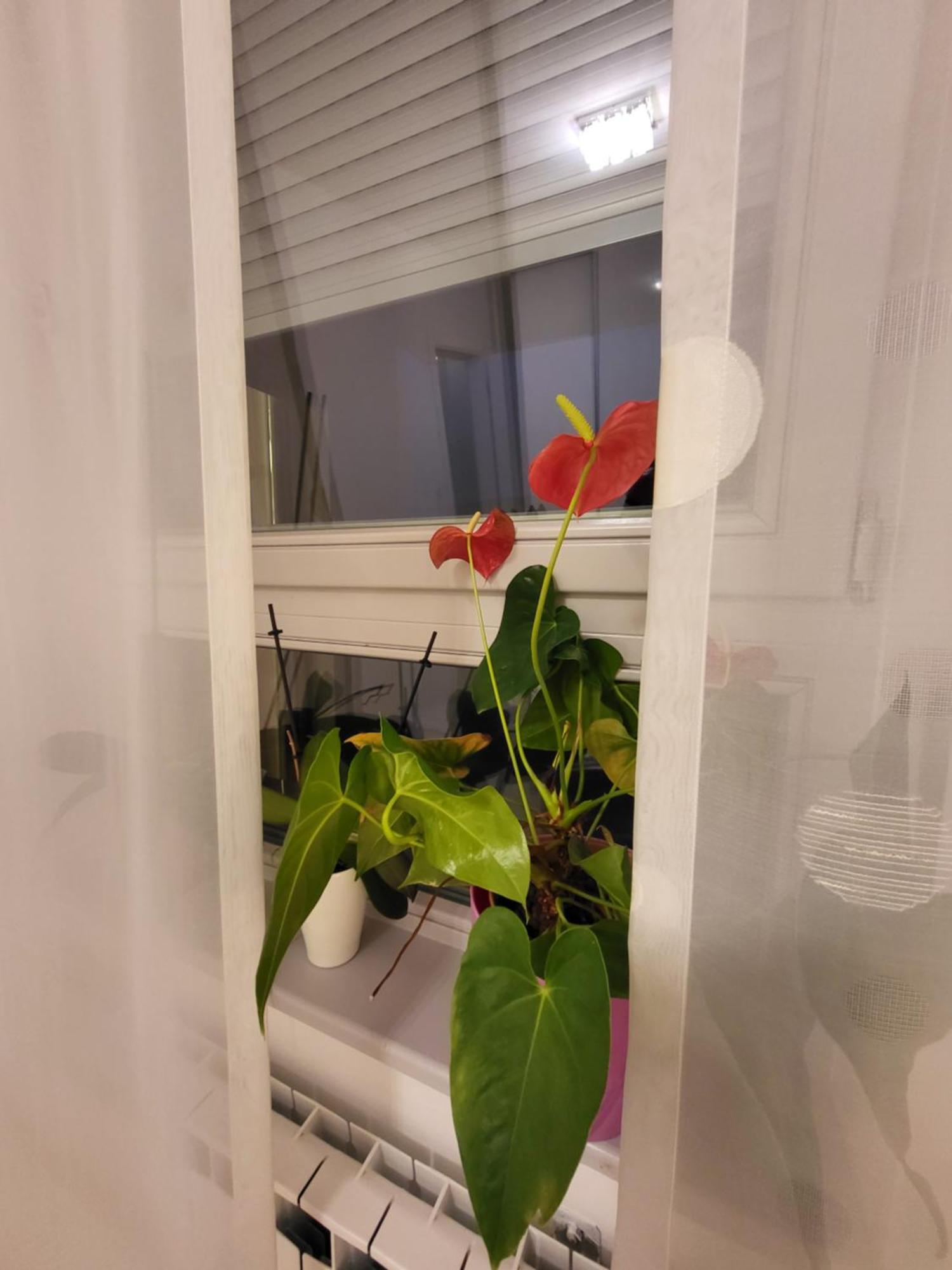 Apartman Jarun Lake Lux Zagrzeb Zewnętrze zdjęcie