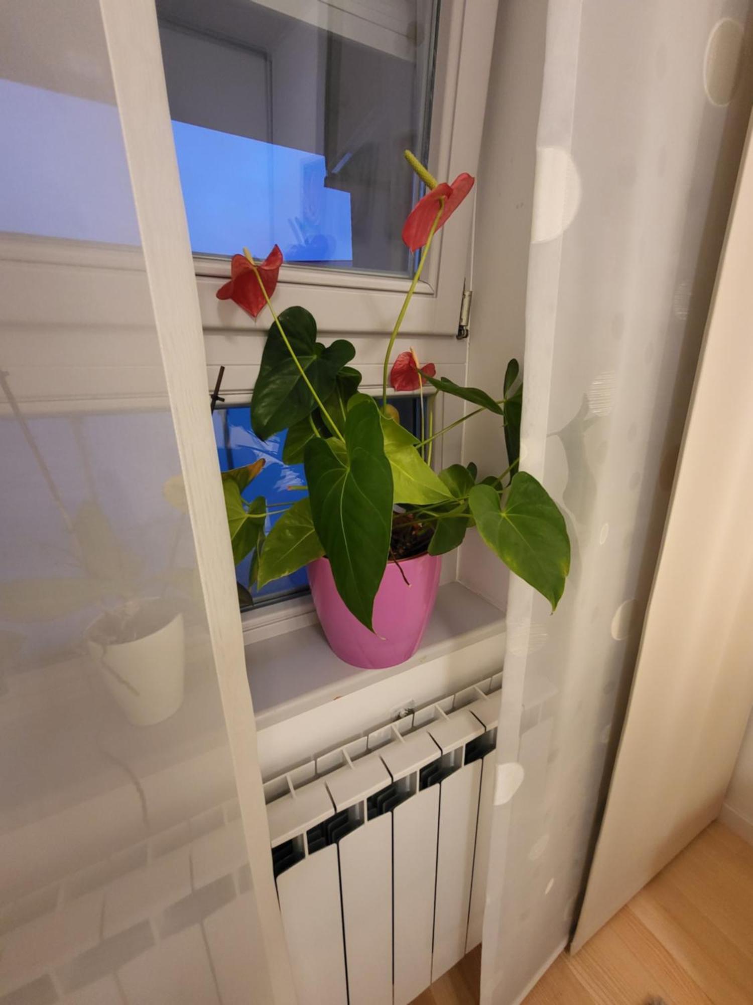 Apartman Jarun Lake Lux Zagrzeb Zewnętrze zdjęcie